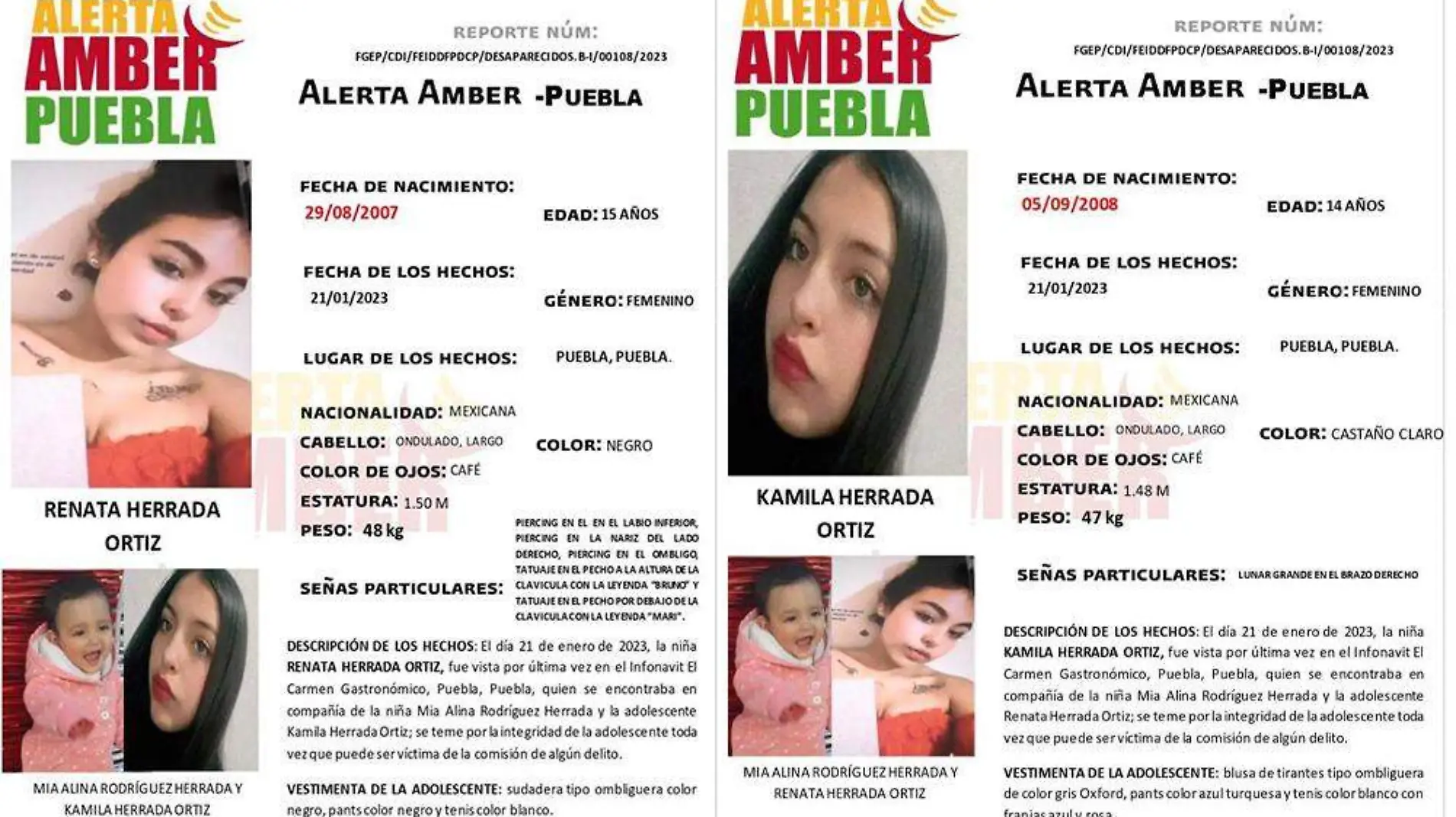 Alerta amber